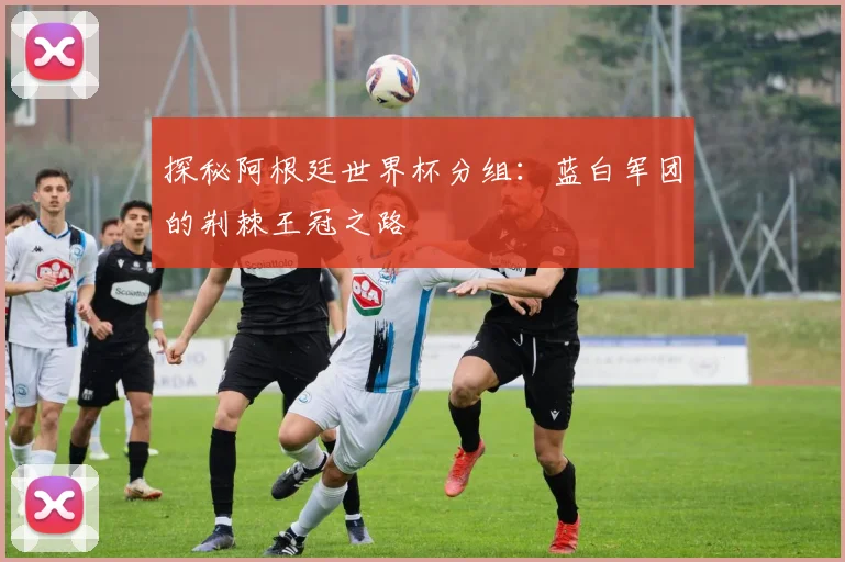 探秘阿根廷世界杯分组：蓝白军团的荆棘王冠之路
