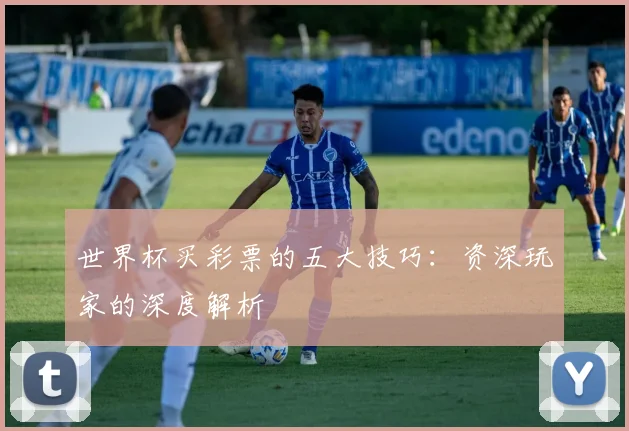 世界杯买彩票的五大技巧：资深玩家的深度解析