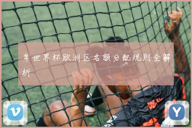 年世界杯欧洲区名额分配规则全解析