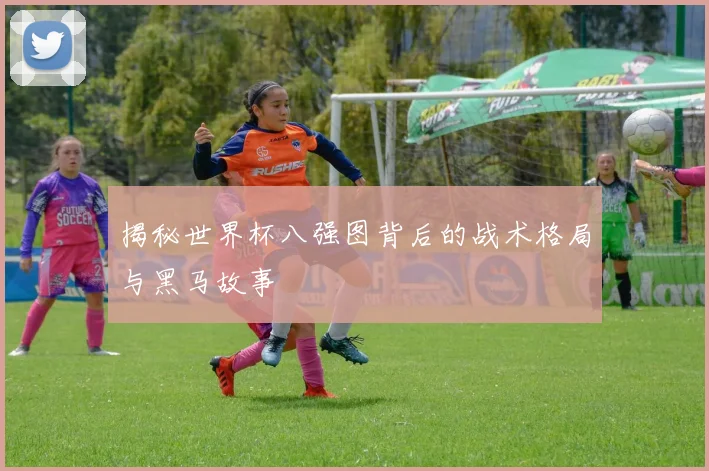 揭秘世界杯八强图背后的战术格局与黑马故事