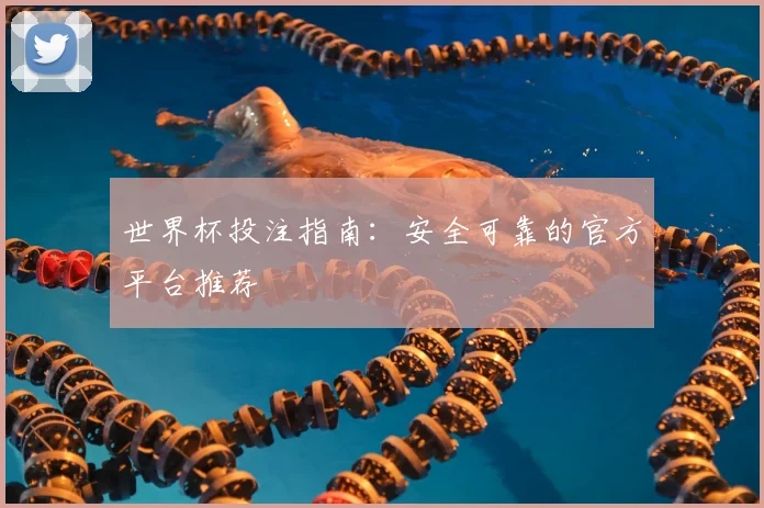 世界杯投注指南：安全可靠的官方平台推荐
