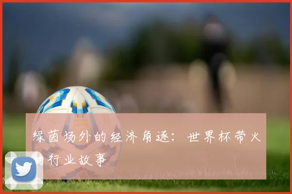 绿茵场外的经济角逐：世界杯带火的行业故事