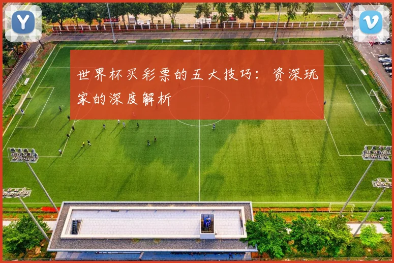 世界杯买彩票的五大技巧：资深玩家的深度解析